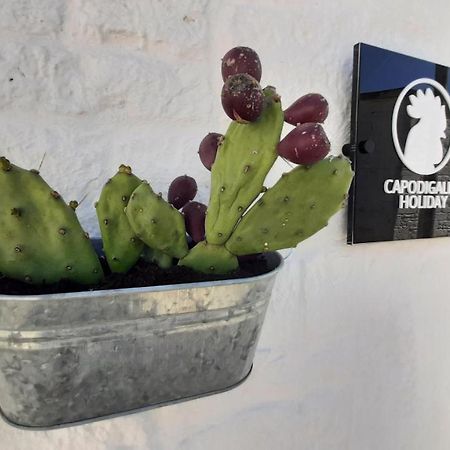 Capodigallo Holiday Trullo Monte Santo Alberobello Kültér fotó